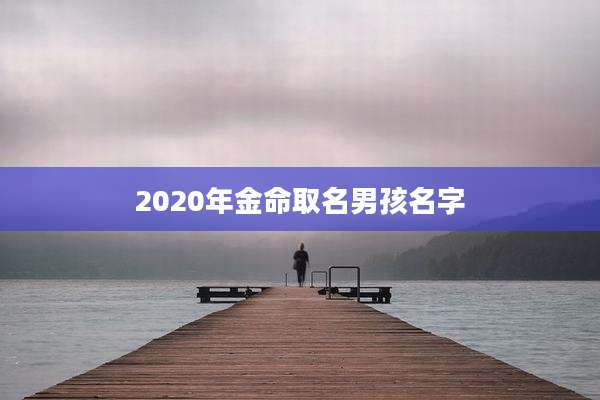2020年金命取名男孩名字