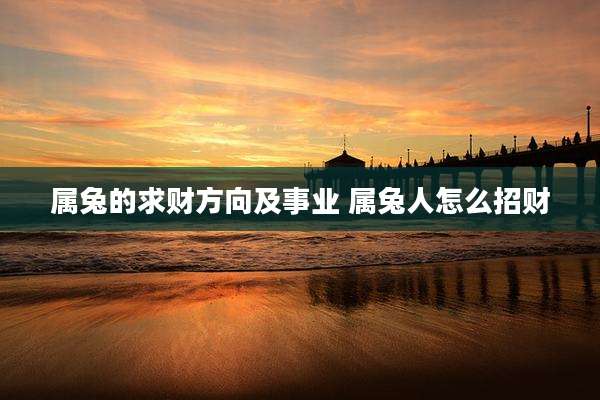 属兔的求财方向及事业 属兔人怎么招财