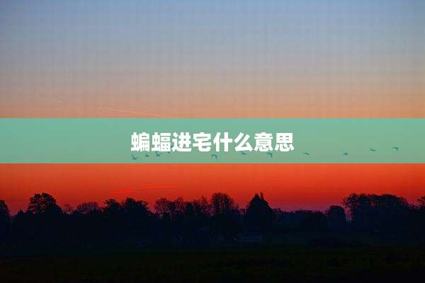 蝙蝠进宅什么意思