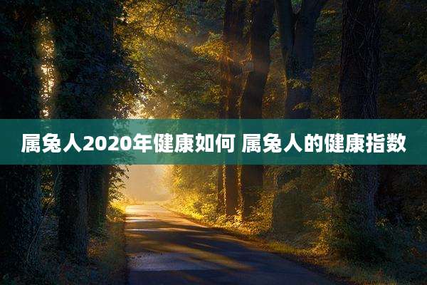 属兔人2020年健康如何 属兔人的健康指数