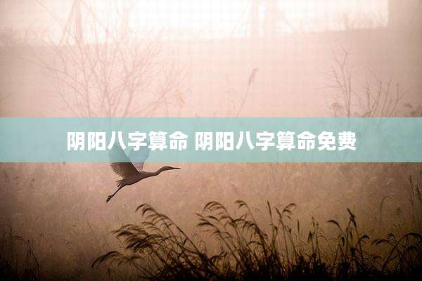 阴阳八字算命 阴阳八字算命免费