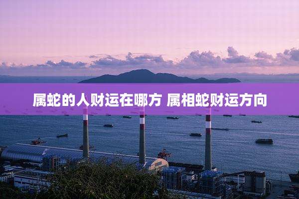 属蛇的人财运在哪方 属相蛇财运方向