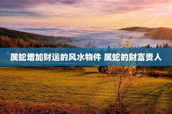 属蛇增加财运的风水物件 属蛇的财富贵人