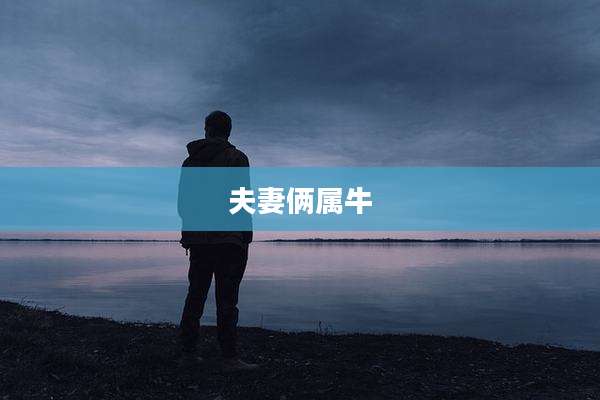 夫妻俩属牛