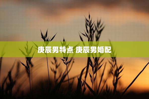 庚辰男特点 庚辰男婚配