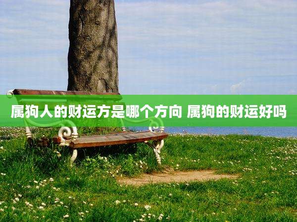 属狗人的财运方是哪个方向 属狗的财运好吗