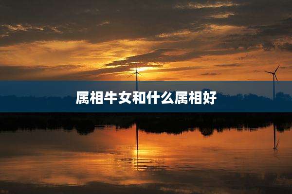 属相牛女和什么属相好