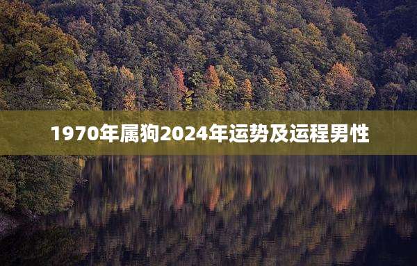 1970年属狗2024年运势及运程男性