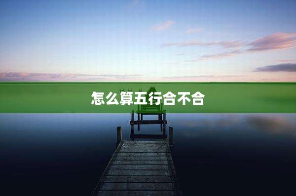 怎么算五行合不合