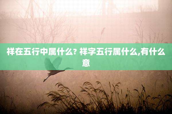 祥在五行中属什么? 祥字五行属什么,有什么意
