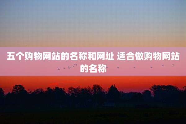 五个购物网站的名称和网址 适合做购物网站的名称