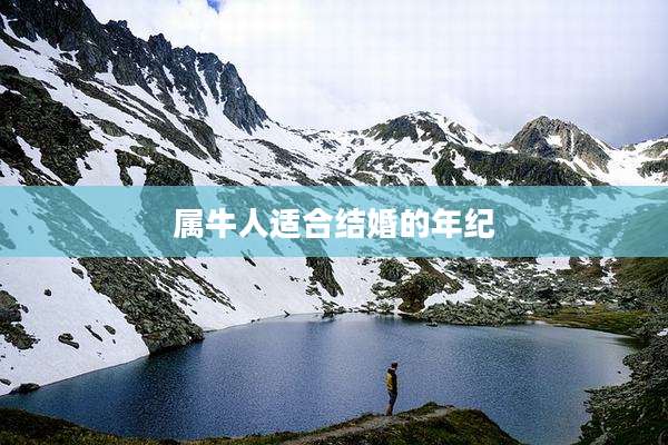 属牛人适合结婚的年纪
