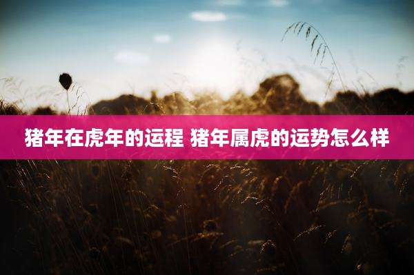 猪年在虎年的运程 猪年属虎的运势怎么样