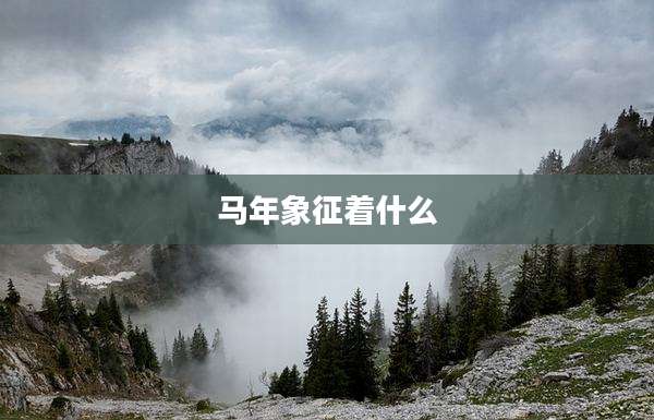 马年象征着什么
