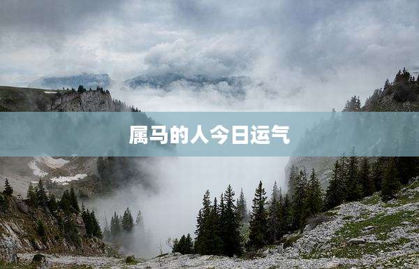 属马的人今日运气