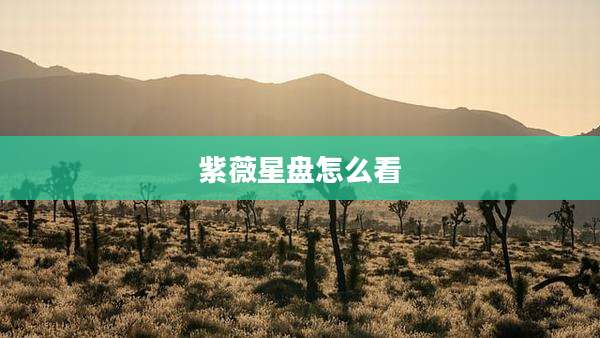 紫薇星盘怎么看