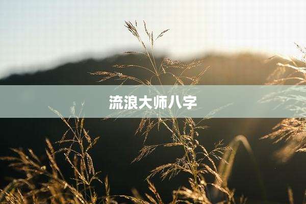 流浪大师八字