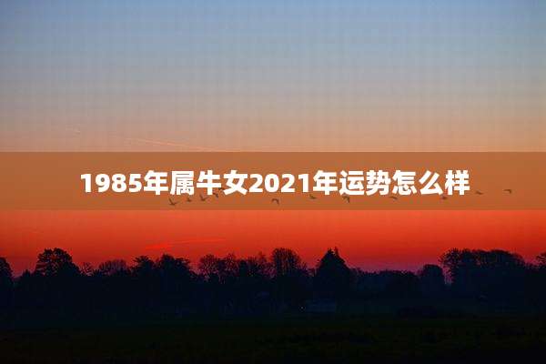1985年属牛女2021年运势怎么样