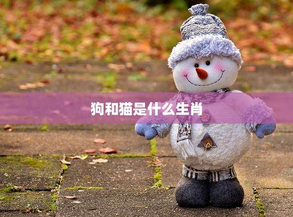 狗和猫是什么生肖