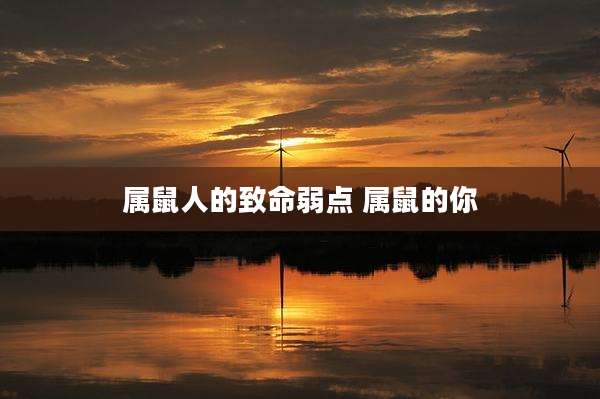 属鼠人的致命弱点 属鼠的你