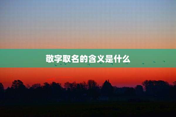 敬字取名的含义是什么
