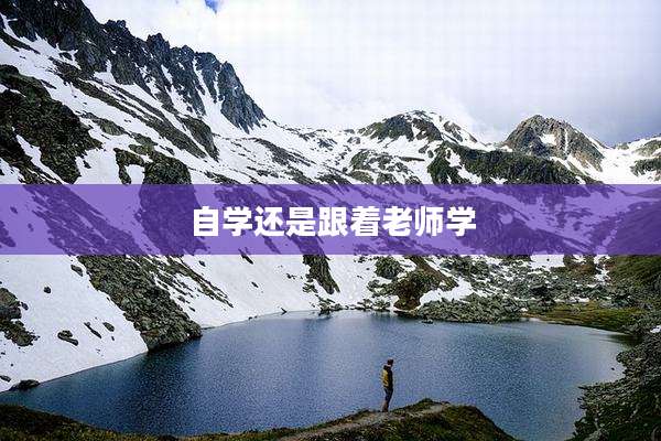 自学还是跟着老师学