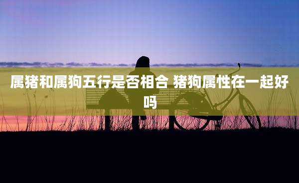 属猪和属狗五行是否相合 猪狗属性在一起好吗