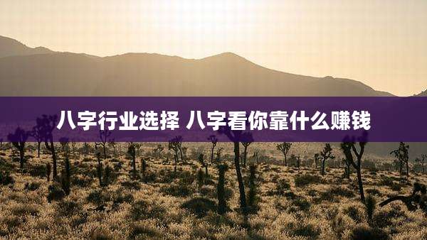 八字行业选择 八字看你靠什么赚钱
