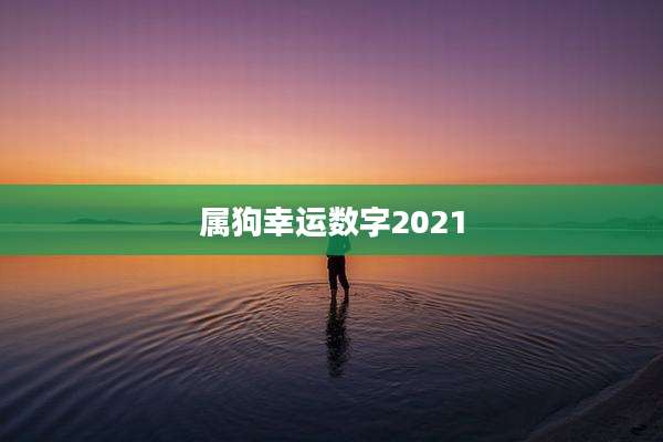 属狗幸运数字2021