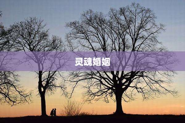 灵魂婚姻