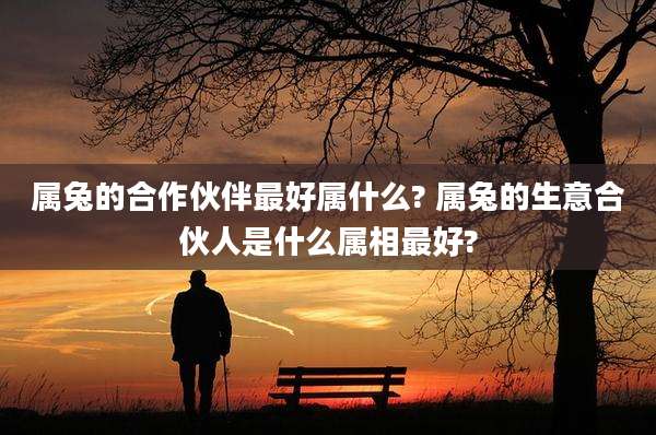 属兔的合作伙伴最好属什么? 属兔的生意合伙人是什么属相最好?