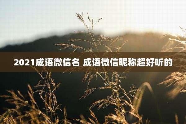 2021成语微信名 成语微信昵称超好听的