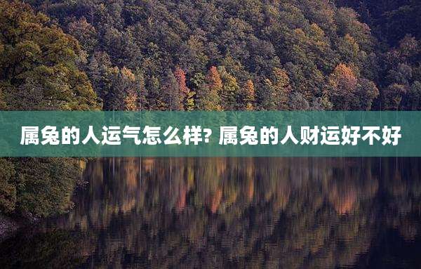 属兔的人运气怎么样? 属兔的人财运好不好