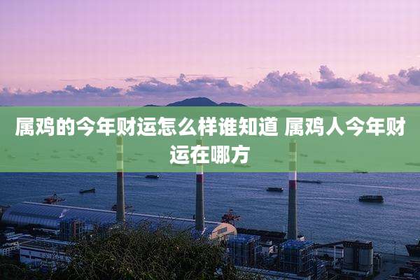 属鸡的今年财运怎么样谁知道 属鸡人今年财运在哪方