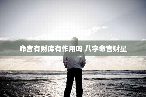 命宫有财库有作用吗 八字命宫财星