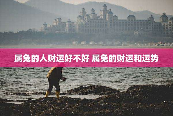 属兔的人财运好不好 属兔的财运和运势