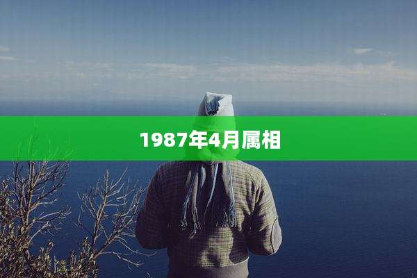1987年4月属相