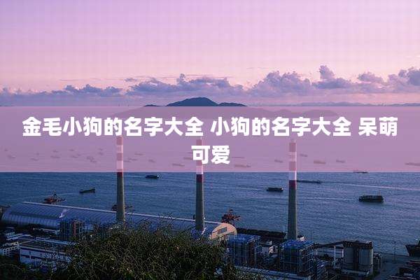 金毛小狗的名字大全 小狗的名字大全 呆萌可爱