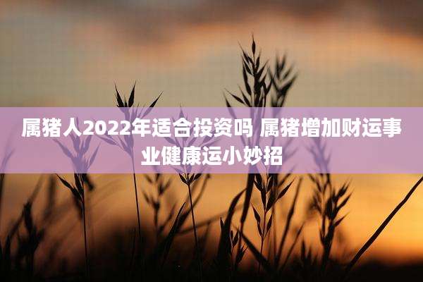 属猪人2022年适合投资吗 属猪增加财运事业健康运小妙招