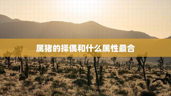 属猪的择偶和什么属性最合