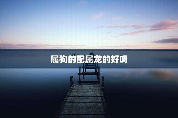 属狗的配属龙的好吗
