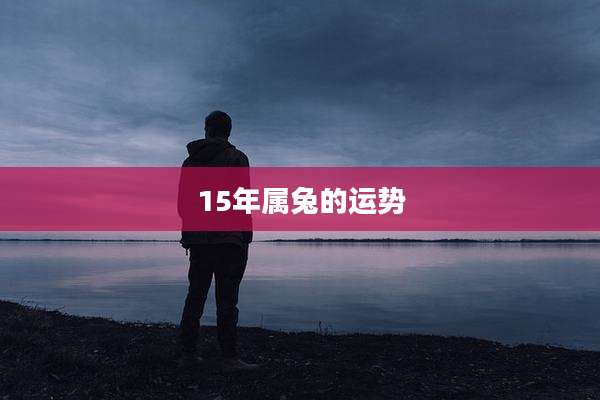 15年属兔的运势