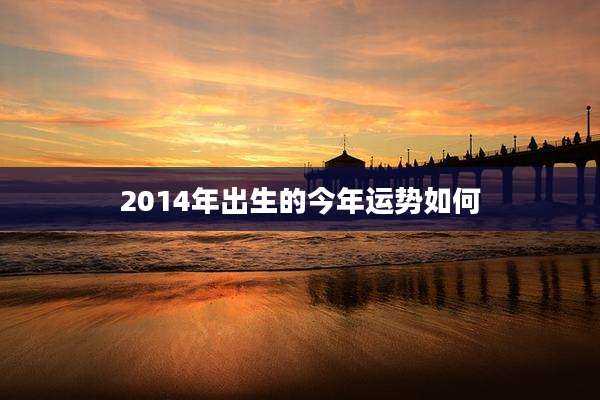 2014年出生的今年运势如何