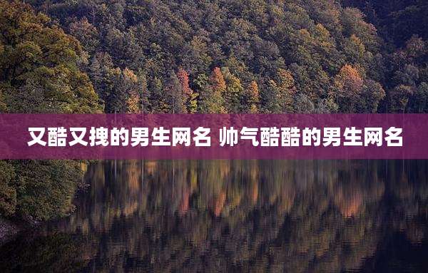 又酷又拽的男生网名 帅气酷酷的男生网名