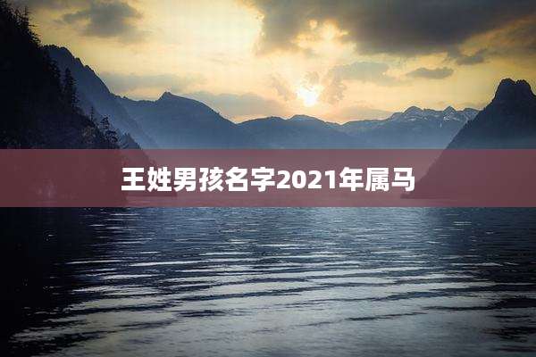 王姓男孩名字2021年属马