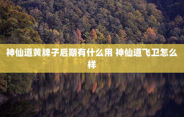 神仙道黄牌子后期有什么用 神仙道飞卫怎么样