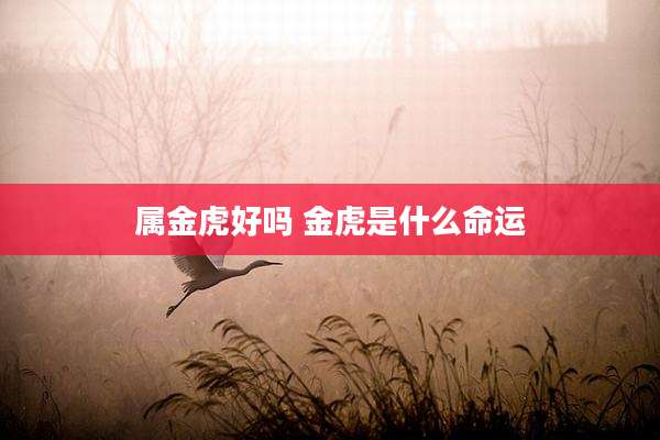 属金虎好吗 金虎是什么命运