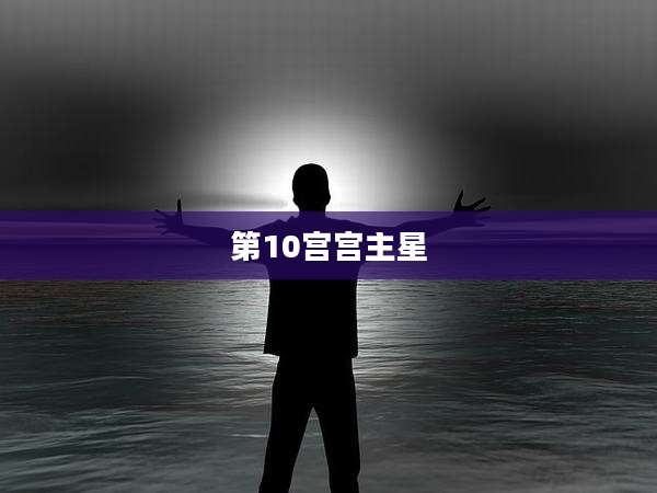 第10宫宫主星