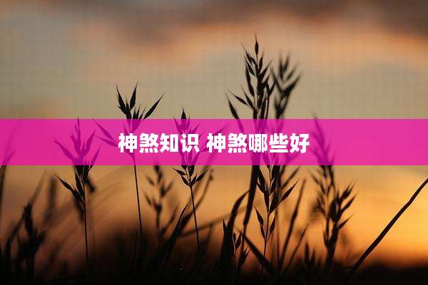 神煞知识 神煞哪些好