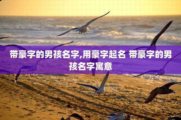 带豪字的男孩名字,用豪字起名 带豪字的男孩名字寓意